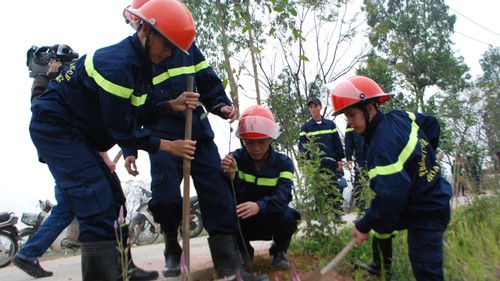 Da Nang launches trees planting festival 2014 - ảnh 1